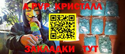 прущие грибы Нальчик